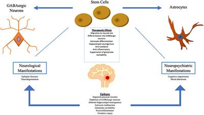 Multipronged Attack of Stem Cell Therapy in Treating the Neurological and Neuropsychiatric Symptoms of Epilepsy